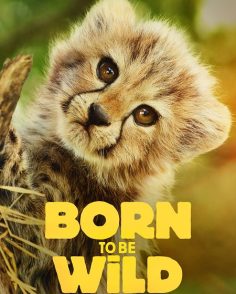 مشاهدة وتحميل مسلسل Born to be Wild الموسم الاول الحلقة 4 مترجمة