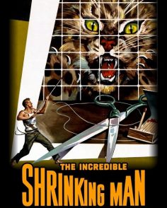 مشاهدة مشاهدة وتحميل فيلم The Incredible Shrinking Man 1957 مترجم