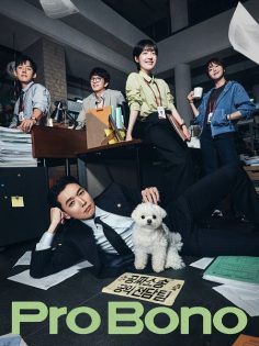 مشاهدة وتحميل مسلسل مرافعة دون مقابل Pro Bono الحلقة 10 مترجمة