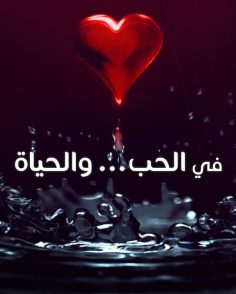 مشاهدة وتحميل مسلسل في الحب والحياة الحلقة 1