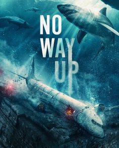 مشاهدة مشاهدة وتحميل فيلم No Way Up 2024 مترجم